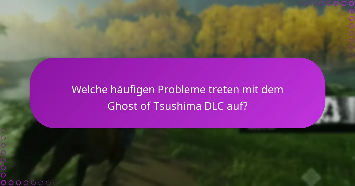 Welche Methoden gibt es, um den Zugriff auf das DLC zu überprüfen?